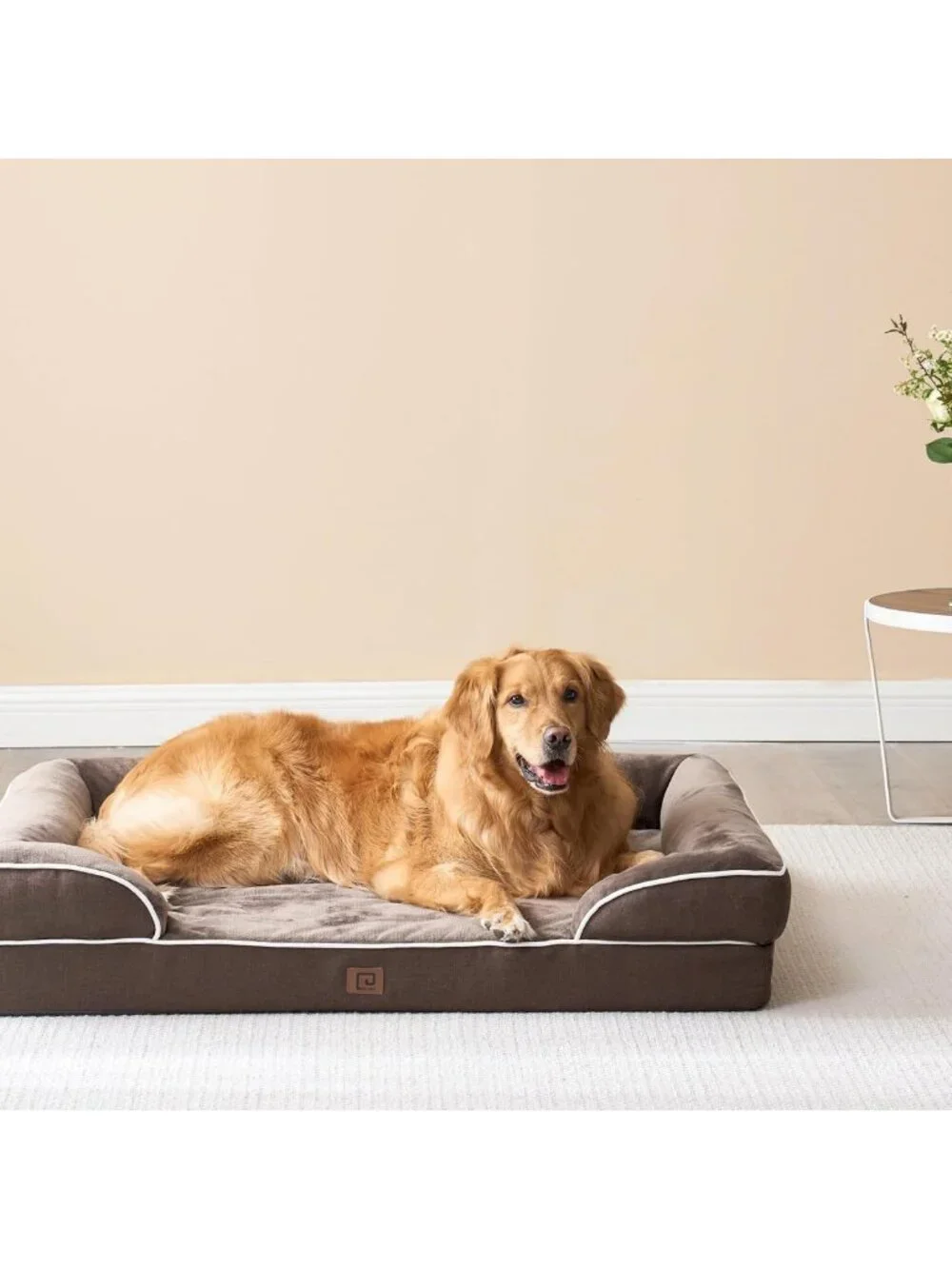 Extra Large Waterproof Memory Foam Dog Bed with Sides, Non-Slip & Washable Cover